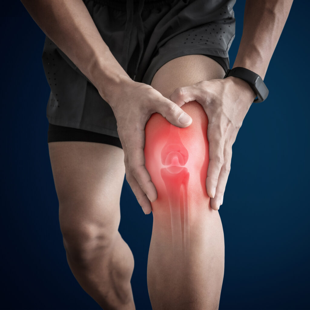 Leg pain muscle